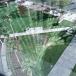 Building's glass reflections (PIC)