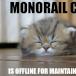 More from the Addorable Cats Collection: I Bring You Monorail Cats (photos)