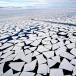 Life Beneath Antarctic Ice [ Pics ]