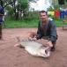 The biggest bloody piranha you'll ever see [PICS]