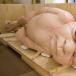 [PIC] of a Huge Creepy Fetus/Baby