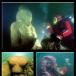 7 Underwater Wonders of the World [PICS]