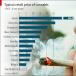 The Price of Cannabis Around the World [PICTURE]