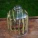 Incredible: Bees making a hive in a jar (PICS)