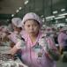 Photos from Toy making plant in China (25 pics)