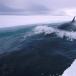 A Whale Highway (Pic)