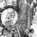 The Original TreeHuggers (w /PIC)