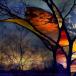 Incredible Abstract Stained Glass Image (PIC)