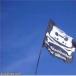 Pirate Flag [pic]