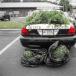Best Cop Car Ever (Pic)