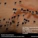 National Geographic - One Of The Best Picture Of The Year