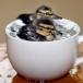 2 Ducks, 1 Cup. [PIC]