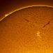 A Sunspot in the New Solar Cycle (Photo)