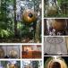 10 Amazing Tree Houses from Around the World [w/PICS]