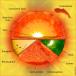 The structure of the Sun [ Pic ]