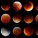 Twelve Lunar Eclipses on Astronomy Picture of the Day!
