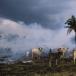 Climate Change: The Big Picture (PICS)