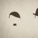 Hitler vs. Chaplin (PIC)