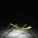 The Green Ad Effect (Pics)
