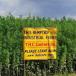 Leave My Crops Alone! (PIC)