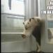 Aaay! F--k You I'm An Anteater