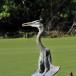 The Great Blue Heron [PIC]