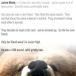 And You Didn't Even Know Bears Could Type!