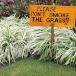 Please Don't Smoke the Grass!