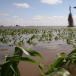 Floods in Iowa: The City Under Water [PICS]