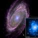 APOD: M81 Feeding a Black Hole