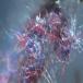 Do You Have Blue and Red Wires Growing Out of Your Skin?