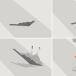 B-2 Stealth Bomber Crash Scene Photos: Exclusive First Look